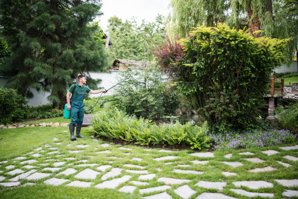 Best Best Pest Control Companies  in Fountain Hills, AZ