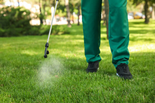Best Exterminator Services  in Fountain Hills, AZ